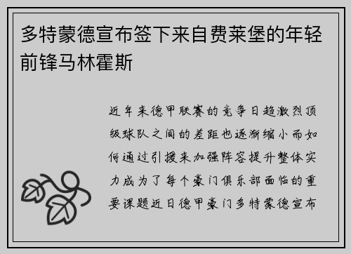 多特蒙德宣布签下来自费莱堡的年轻前锋马林霍斯